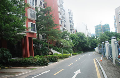 小區白蟻防治3